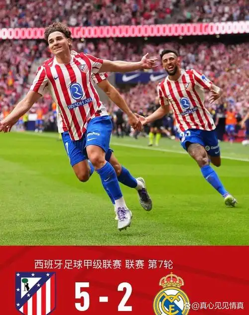 雨燕直播体育免费直播